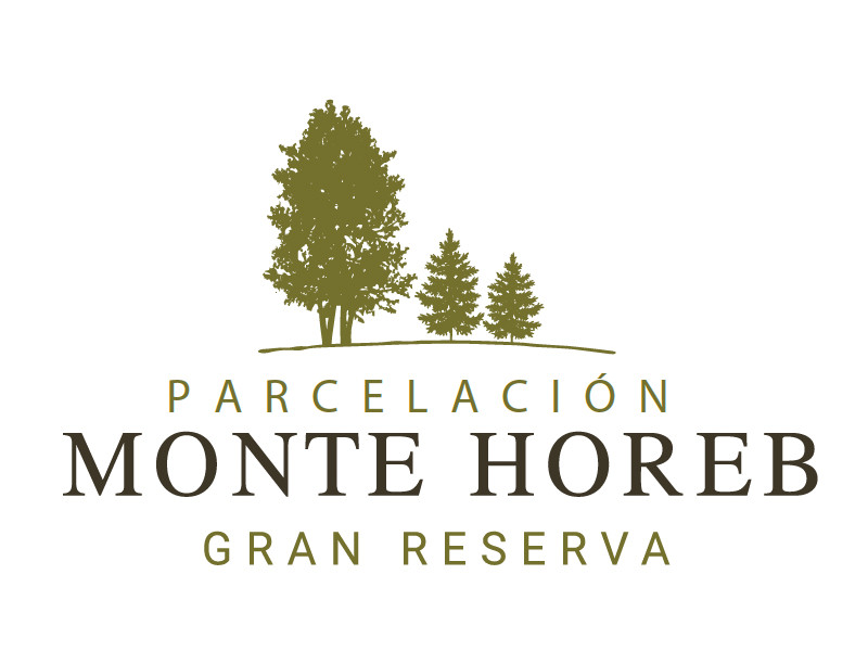 Monte-Horeb-San-Pedro-1
